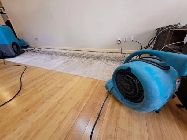 Professional Basement Flood Cleanup technician working in Rathdrum, ID